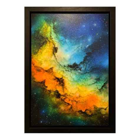 Wide Framed Canvas