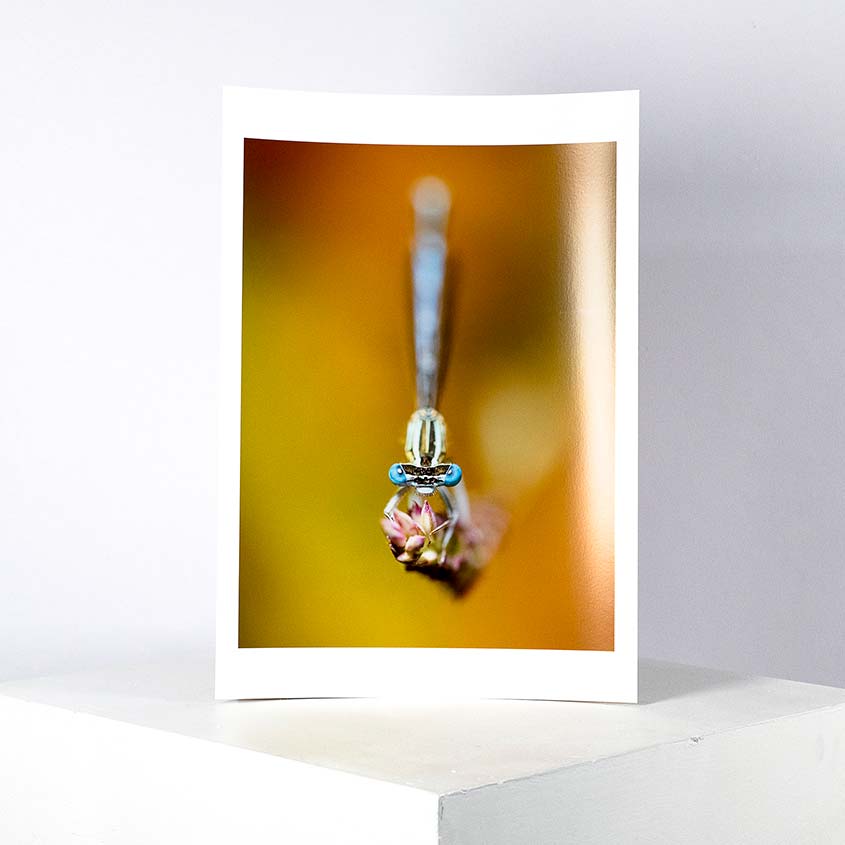 Photographic Giclee Prints